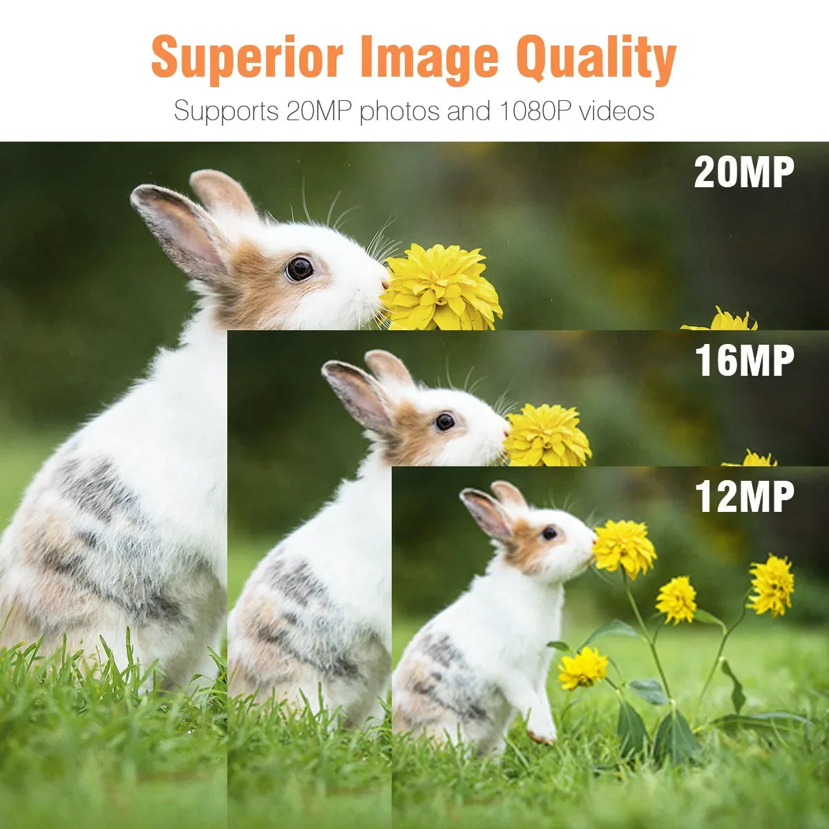 Mini301 Trail Hunting Camera 24MP 1080P Night Vision Wildlife Monitor