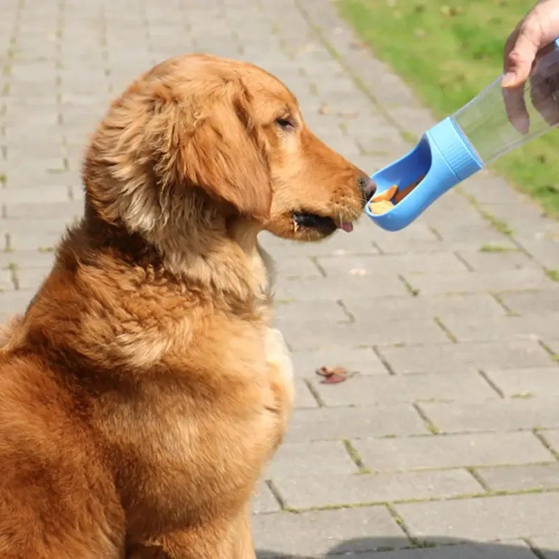 Portable Glass Pet Water Bottle Dogs Travel Drinking Dispenser