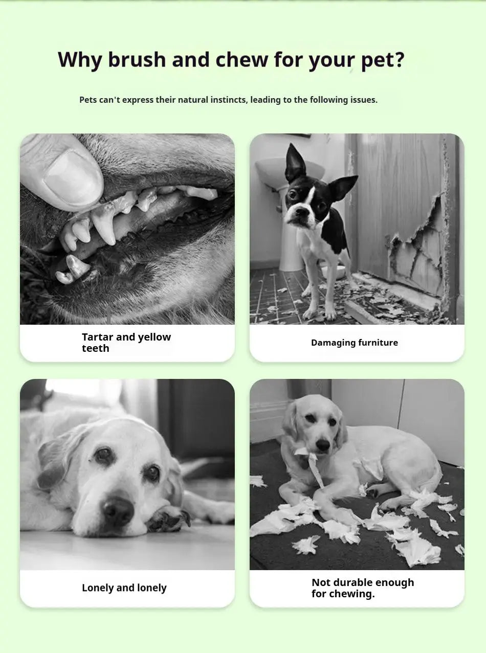 Nylon Dog Chew Toy For Teeth Cleaning And Oral Hygiene
