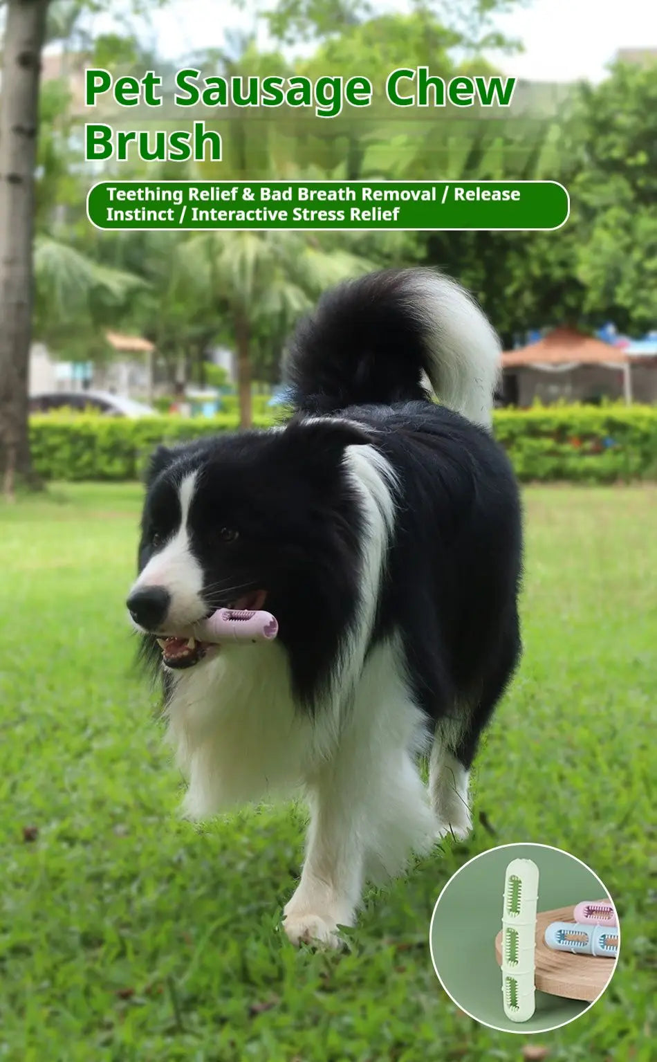 Nylon Dog Chew Toy For Teeth Cleaning And Oral Hygiene