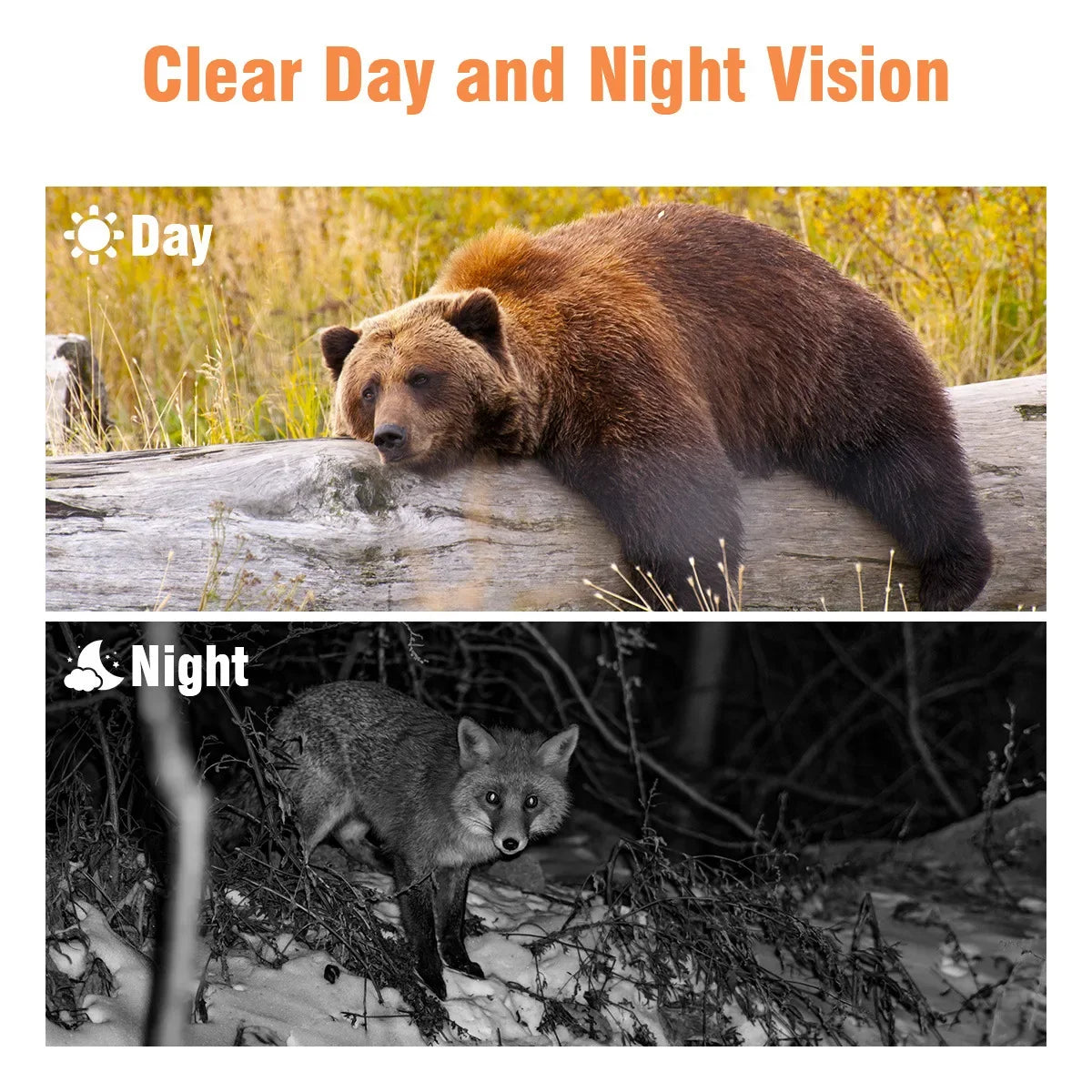 Mini301 Trail Hunting Camera 24MP 1080P Night Vision Wildlife Monitor